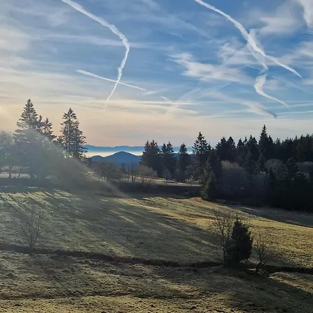Apartment Les Vosges Orbey