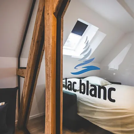 Les Vosges Apartment *