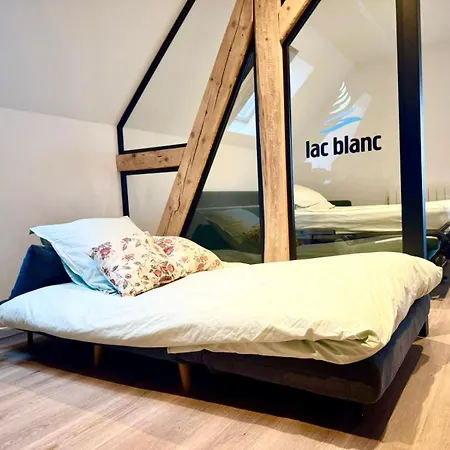 Les Vosges Apartment *